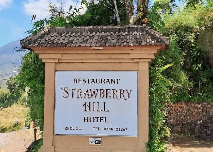 Strawberry Hill & Restaurant Bedugul (Bali)